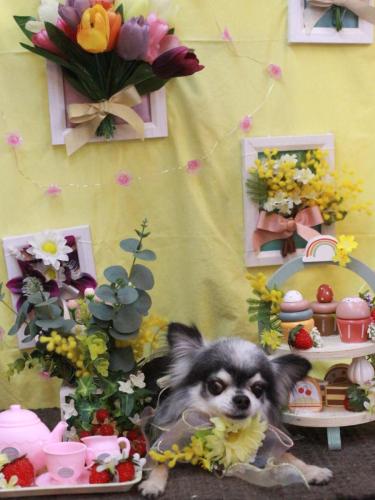 20230318クオンくん